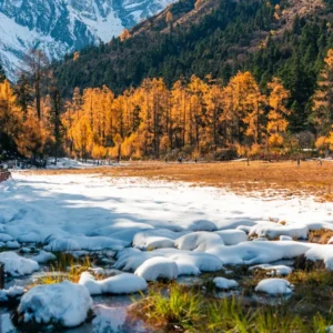 Bipenggou one day tour