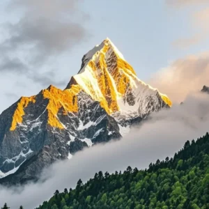 Day tour of Siguniang Mountain